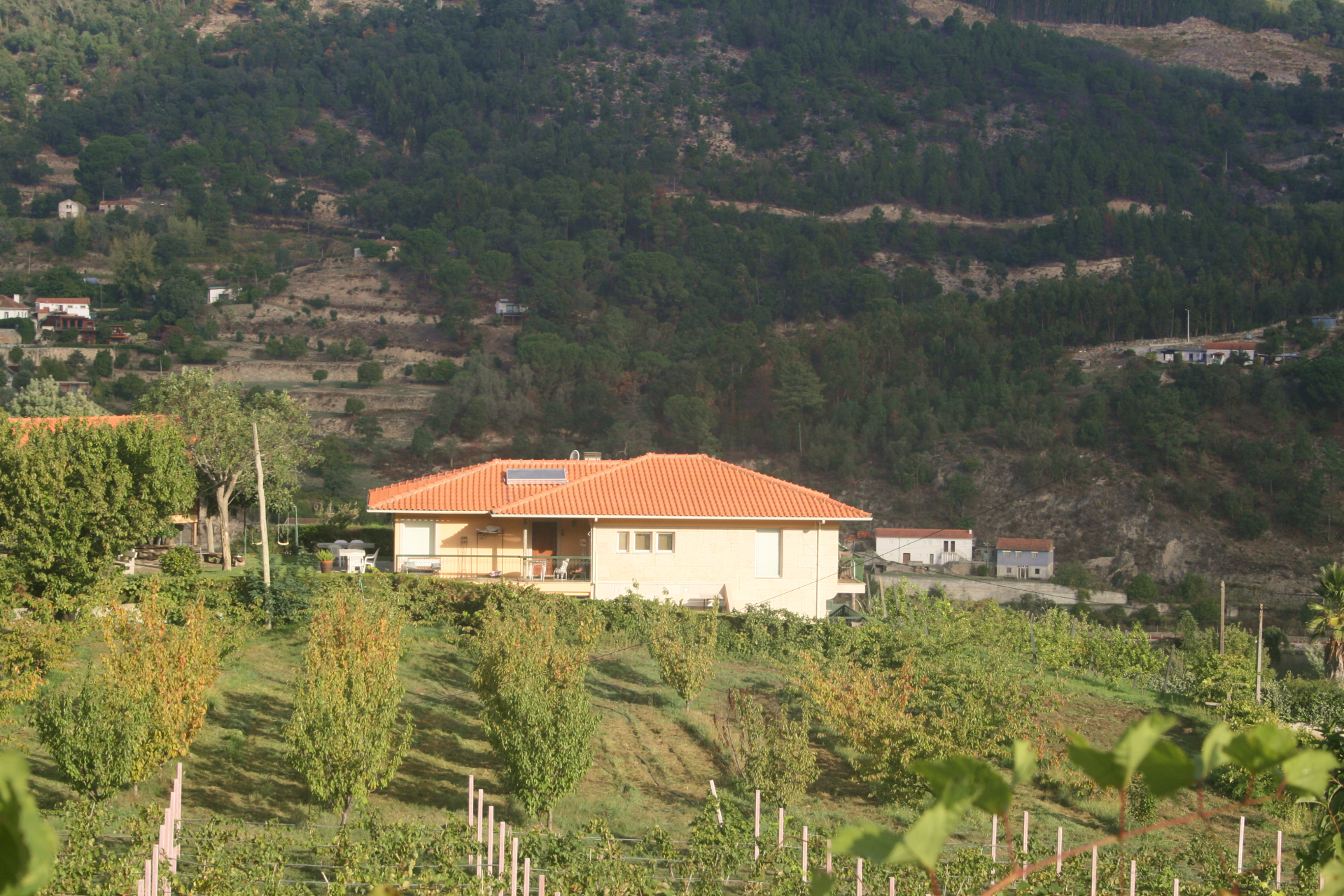 Puerta Casera